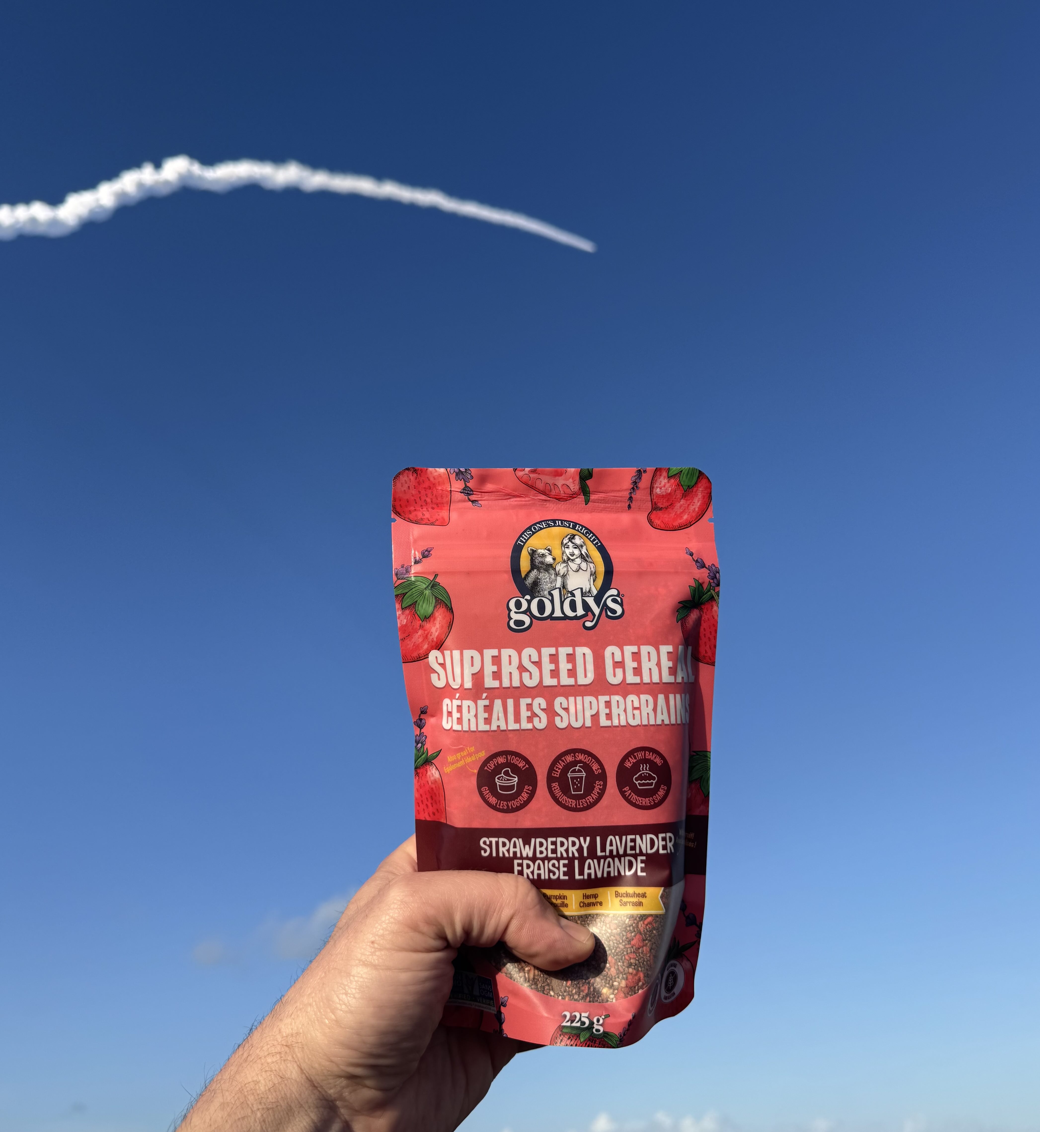 A pack of Goldies with the Artemis II launch in the background